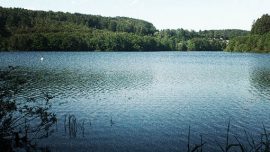 Wo Zandern in Deutschland und Europa vorkommen.