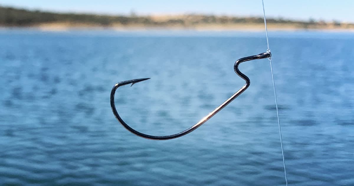 Mit Drop Shot Zander angeln - Alternative Methode für Zander