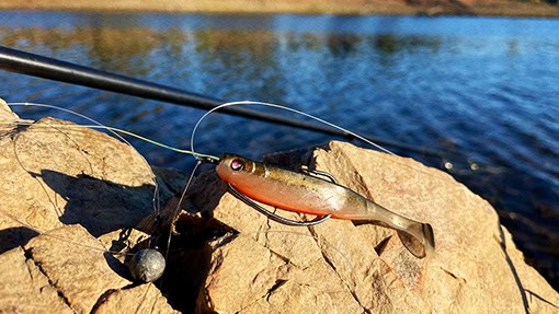 drop shot rig finesse system angeln