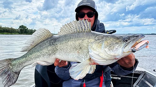 Zander angeln mit Gummifisch