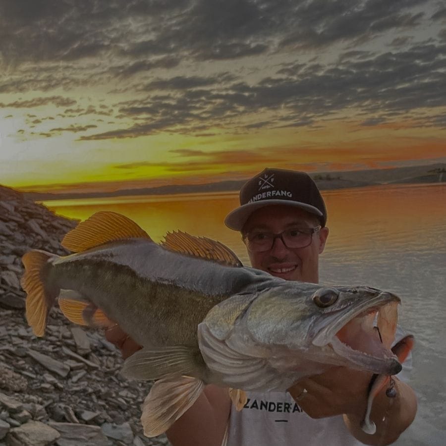 cheburashka-zander Cheburashka Zander